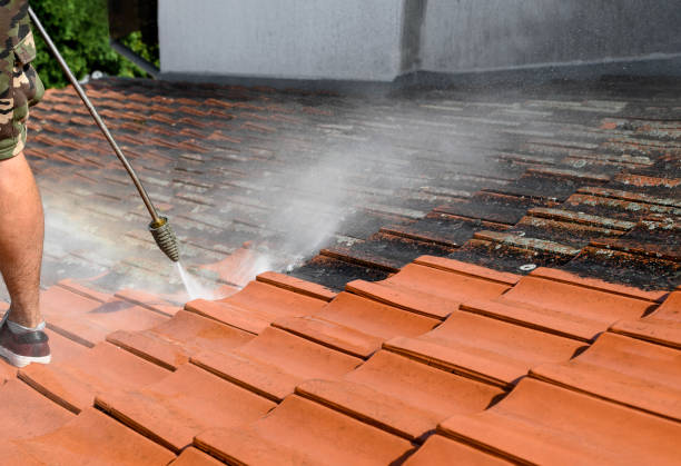 Best Power Washing Near Me  in Lido Beach, NY