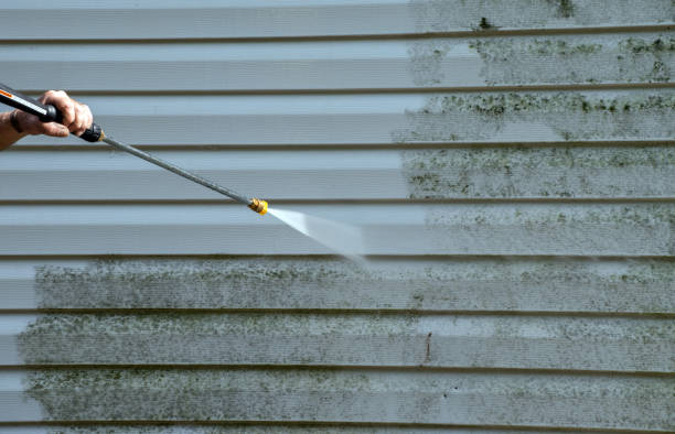 Best Roof Pressure Washing  in Lido Beach, NY