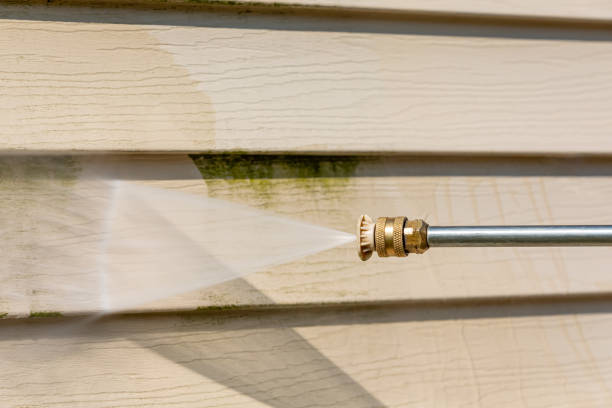 Best Local Pressure Washing Services  in Lido Beach, NY